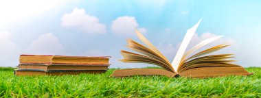 Katalog, dergi boş, sahte yeşil çimenlerin üzerinde kitap