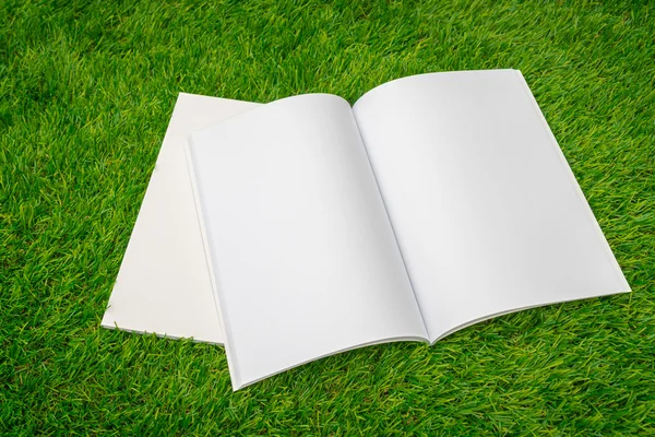 Leere Kataloge, Zeitschriften, Bücherattrappen auf grünem Gras — Stockfoto