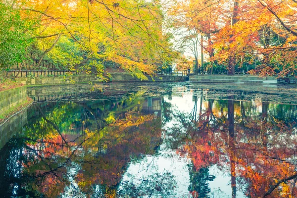 Bosque de otoño con río — Foto de Stock