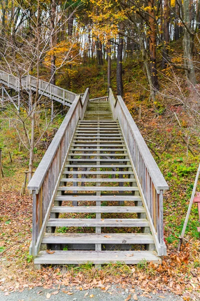 Escalera de madera en el parque —  Fotos de Stock