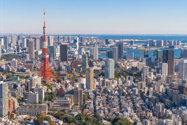 Tokyo, Japonya - 26 Kasım 2015 - Tokyo Kanto bölgesi ve — Stok fotoğraf