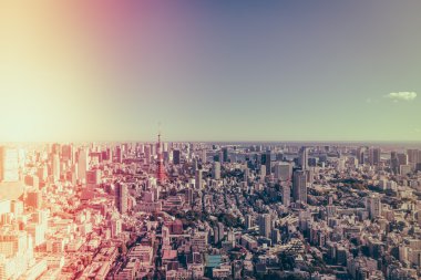 Tokyo, Japonya - 26 Kasım 2015 - Tokyo Kanto bölgesi ve