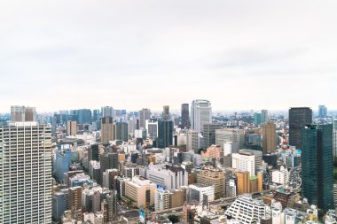 Tokyo, Japonya - 26 Kasım 2015 - Tokyo Kanto bölgesi ve