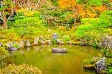 Nehirli sonbahar ormanı