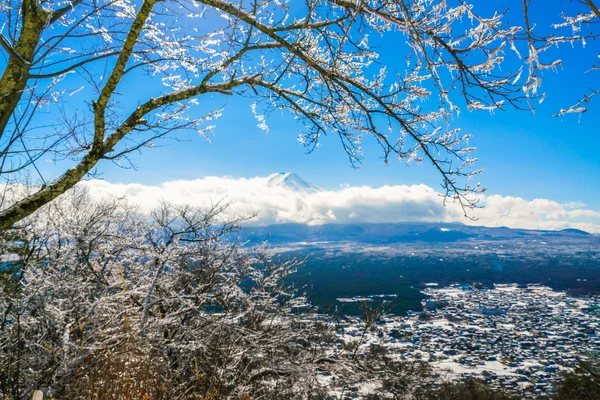 与冰涂料在树上的山富士 — 图库照片