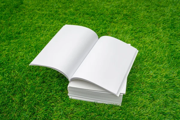 Lege catalogus, tijdschriften, boeken mock up op groen gras — Stockfoto