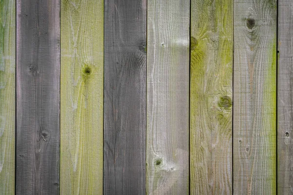 컬러 나무 질감 — 스톡 사진