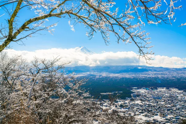 Góra Fuji z powłoka lodu na drzewach — Zdjęcie stockowe