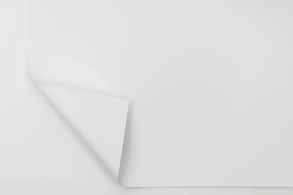 Fold rohu skutečný papír — Stock fotografie