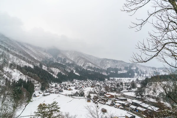 겨울 산에서 아름 다운 마 — 스톡 사진