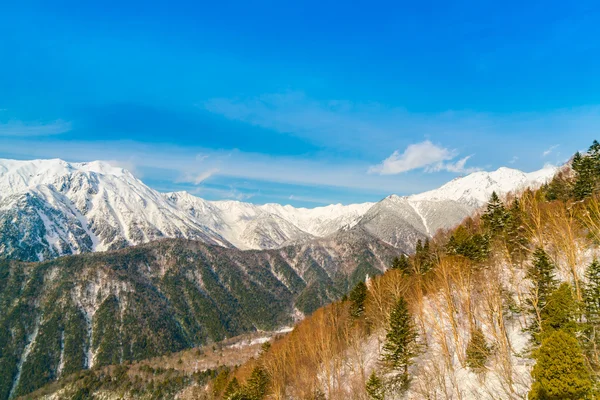 Japonia zima góry z pokryte śniegiem — Zdjęcie stockowe