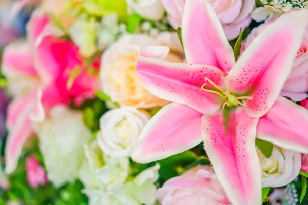 Szép liliom virág — Stock Fotó