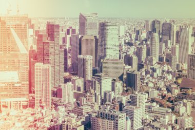 Tokyo, Japonya - 26 Kasım 2015 - Tokyo Kanto bölgesi ve