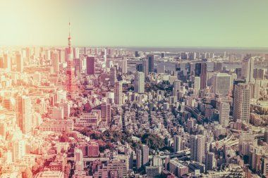 Tokyo, Japonya - 26 Kasım 2015 - Tokyo Kanto bölgesi ve