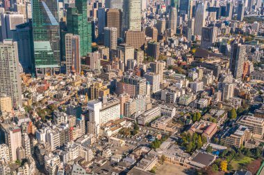 Tokyo, Japonya - 26 Kasım 2015 - Tokyo Kanto bölgesi ve