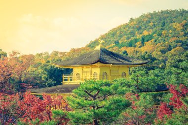 Kinkakuji Tapınağı 