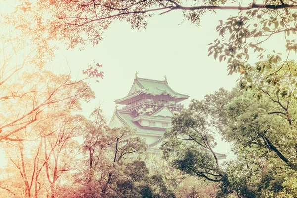 在日本大阪的大阪城堡 （筛选图像处理老式 e — 图库照片