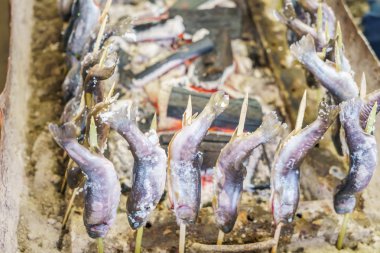  Açık havada Japonya'da ızgara tuz ile balık