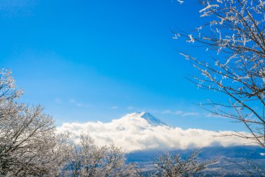 Dağ Fuji ağaçlar üzerinde buz kaplama ile