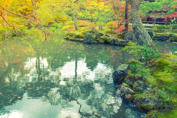 Podzimní les s řekou — Stock fotografie