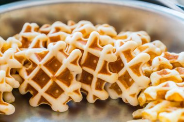 Tam buğday gözleme, yüksek çözünürlüklü görüntüleri