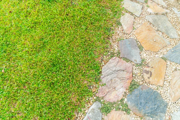 Spring green grass — Stock Photo, Image