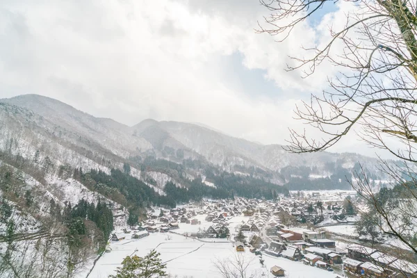 겨울 산에서 아름 다운 마 — 스톡 사진