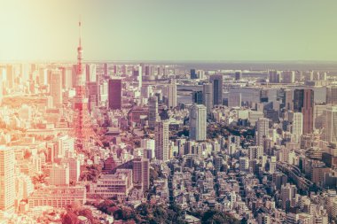 Tokyo, Japonya - 26 Kasım 2015 - Tokyo Kanto bölgesi ve