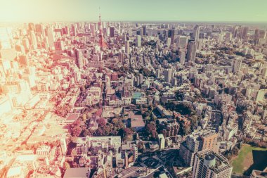 Tokyo, Japonya - 26 Kasım 2015 - Tokyo Kanto bölgesi ve