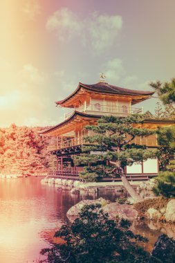 Kinkakuji Tapınağı 