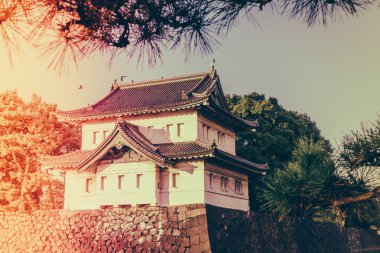 Tokyo, Japonya (Filtered pro görüntü güzel İmparatorluk Sarayı