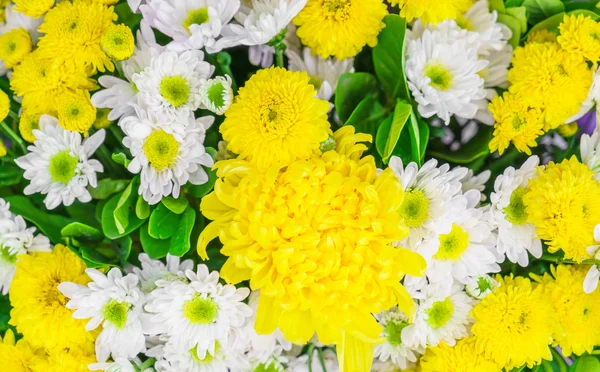 De belles fleurs pour les valentines et la scène de mariage — Photo