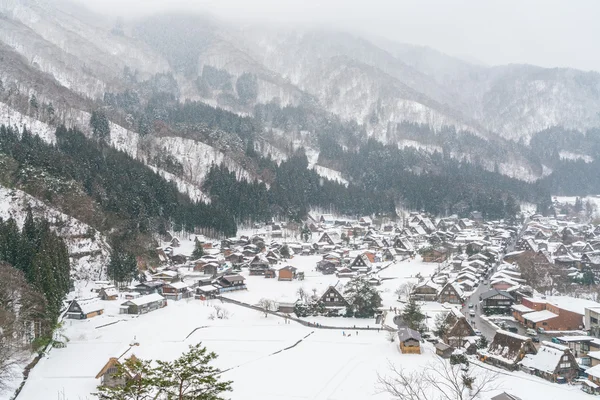 겨울 산에서 아름 다운 마 — 스톡 사진