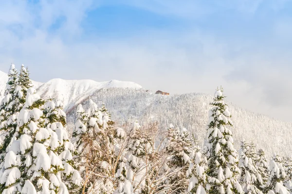 日本の冬と雪に覆われた山 — ストック写真