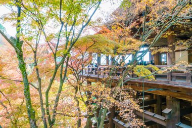 Güzel mimarisi Kiyomizu-dera Tapınağı, Kyoto, Japonya