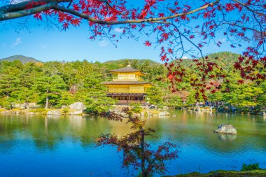 Kinkakuji Tapınağı 