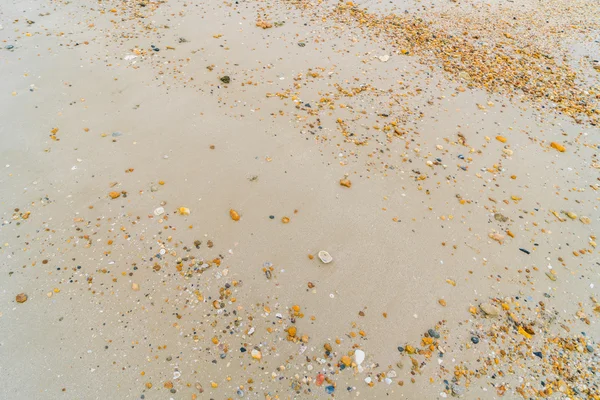 Playa de arena marina, Imágenes de alta definición — Foto de Stock