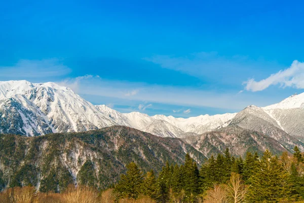 Japón Montaña de invierno con nieve cubierta — Foto de Stock