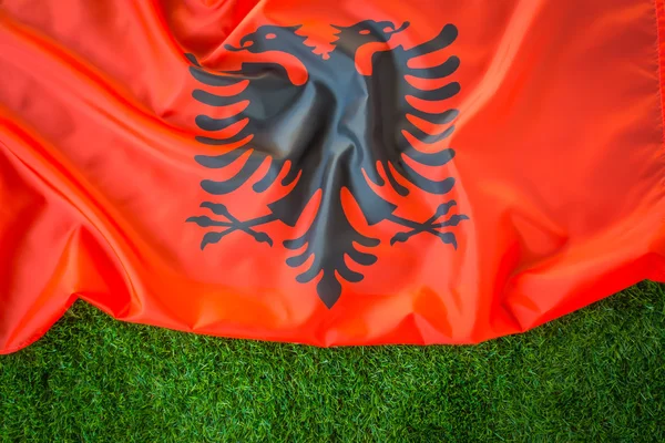 Прапори Албанії на зеленій траві . — стокове фото
