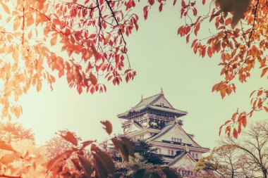 Japonya'nın Osaka Osaka Kalesi (filtre uygulanmış görüntü işlenen vintage e