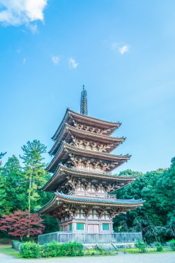 Recai-ji Tapınağı Güz, Kyoto, Japonya