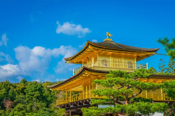 Kinkakuji Temple " The Golden Pavilion" in Kyoto, Japan — Stock Photo, Image