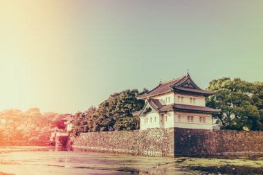 Tokyo, Japonya (Filtered pro görüntü güzel İmparatorluk Sarayı