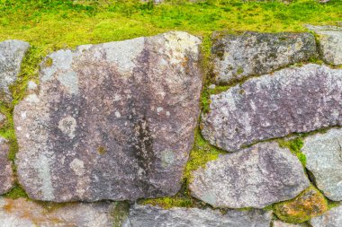 Yeşil yosunlu taş duvar .