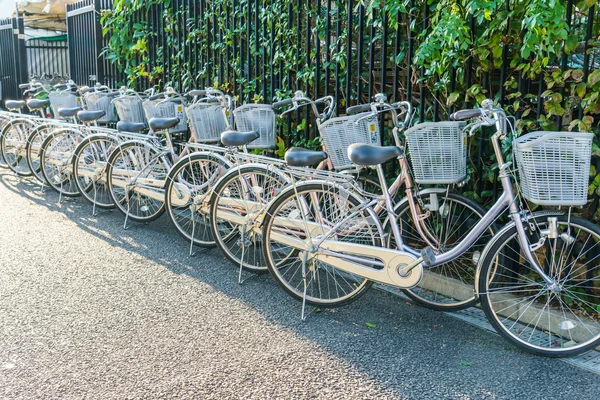 Fila de bicicletas estacionamento — Fotografia de Stock