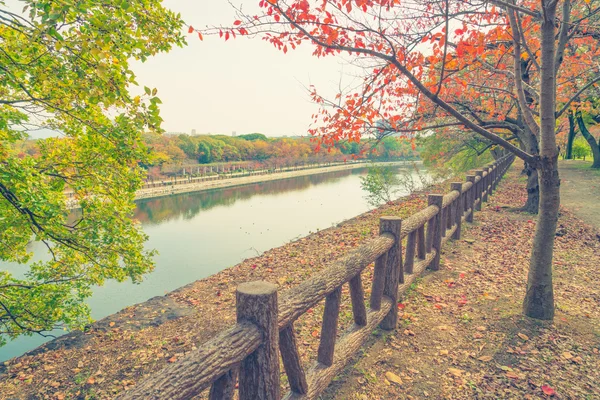 Bosque de otoño con río. (Imagen filtrada procesada vintage ef — Foto de Stock