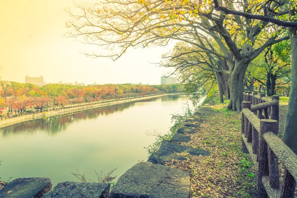 Bosque de otoño con río . — Foto de Stock