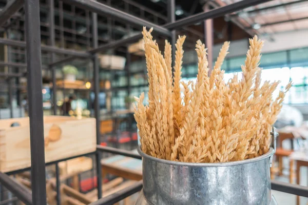 Cereali di grano naturale., Immagini ad alta definizione — Foto Stock