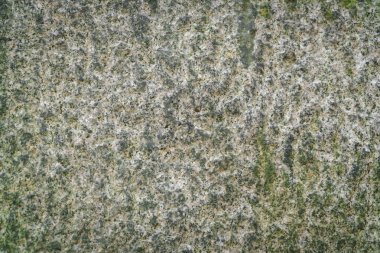 Taş duvar dokusu arkaplanı