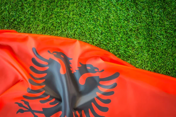 Bandeiras da Albânia na grama verde  . — Fotografia de Stock